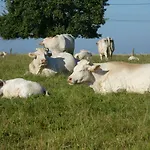L'etape Normande فندق مبيت وإفطار Montroty (Seine-Maritime)