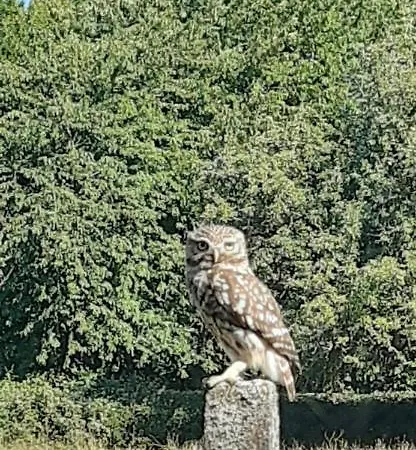 ベッド・アンド・ブレックファスト L'etape Normande Montroty