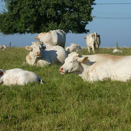 L'etape Normande Oda ve Kahvaltı Montroty (Seine-Maritime)