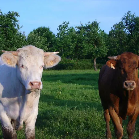 L'etape Normande ベッド・アンド・ブレックファスト